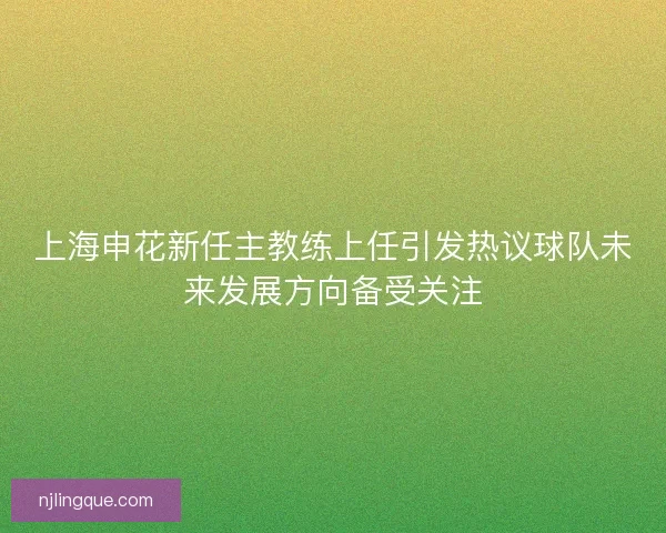 上海申花新任主教练上任引发热议球队未来发展方向备受关注