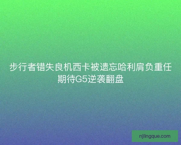 步行者错失良机西卡被遗忘哈利肩负重任期待G5逆袭翻盘