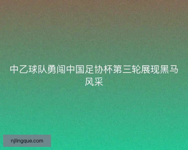 中乙球队勇闯中国足协杯第三轮展现黑马风采